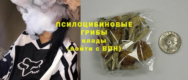 бошки Горнозаводск