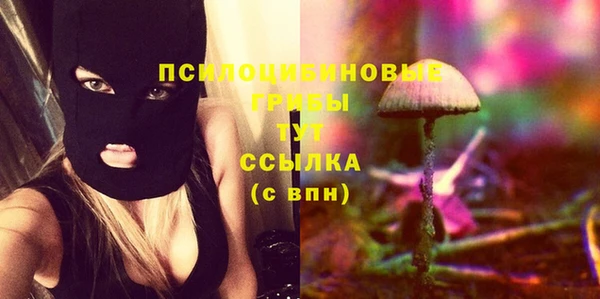 бошки Горнозаводск